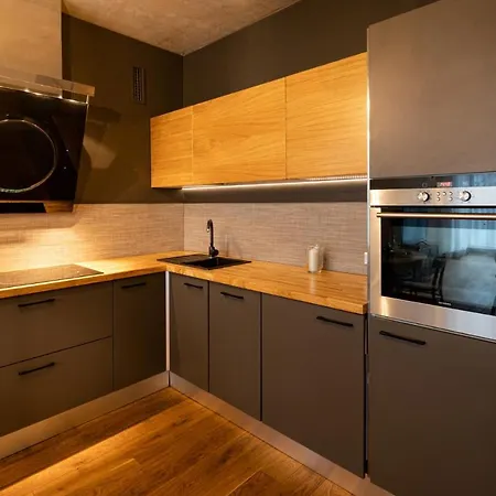 Old Loft Interior Style With 2 Bedrooms 아파트